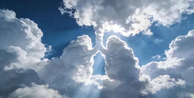 鹤岗肺癌12基因ctDNA突变检测(血液）图片1