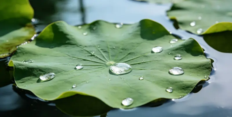 鹤岗乳腺癌21基因mRNA表达分析图片1