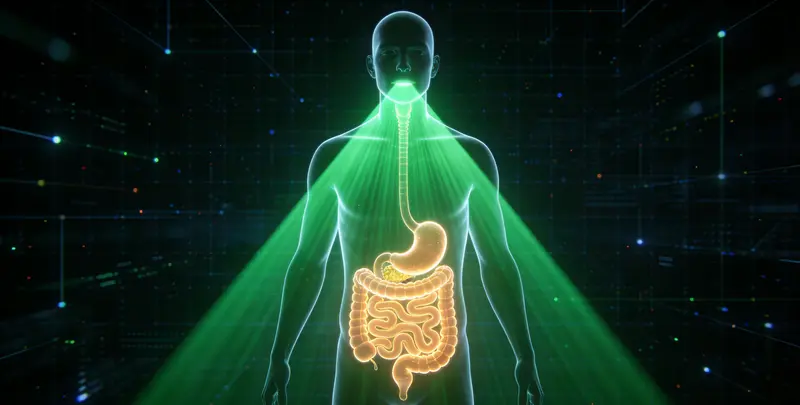 鹤岗胃癌分子分型基因检测项目（组织）图片1